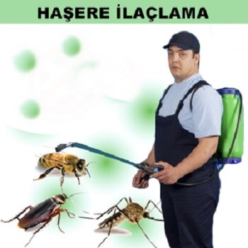 Çerkeş Böcek İlaçlama